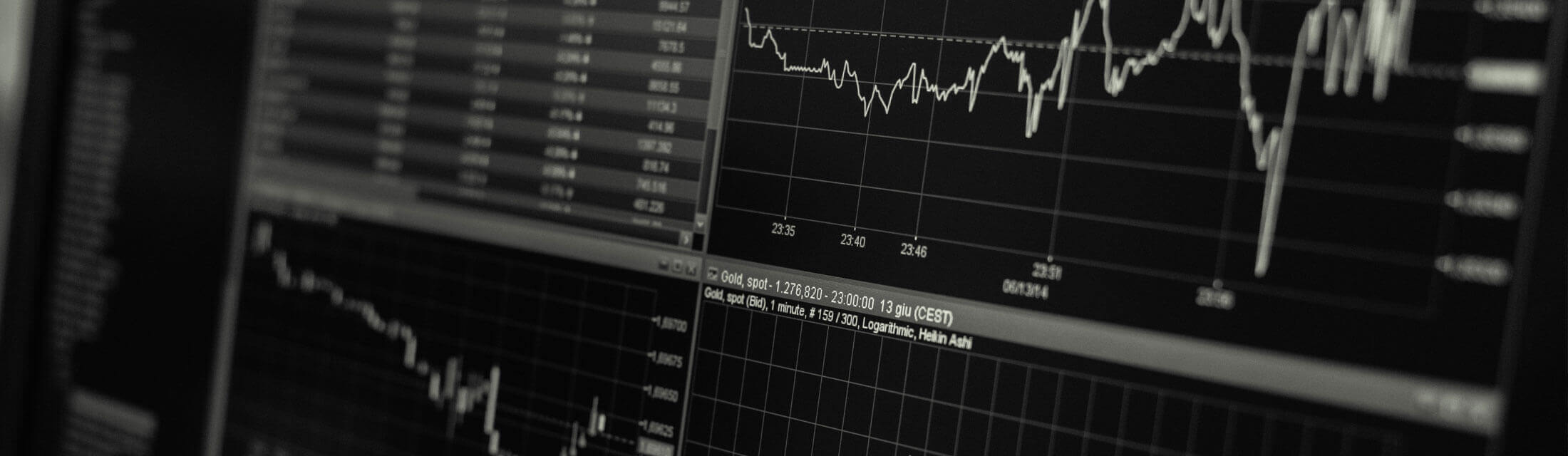Celeste Services | Private Equity & Venture Capital Consulting